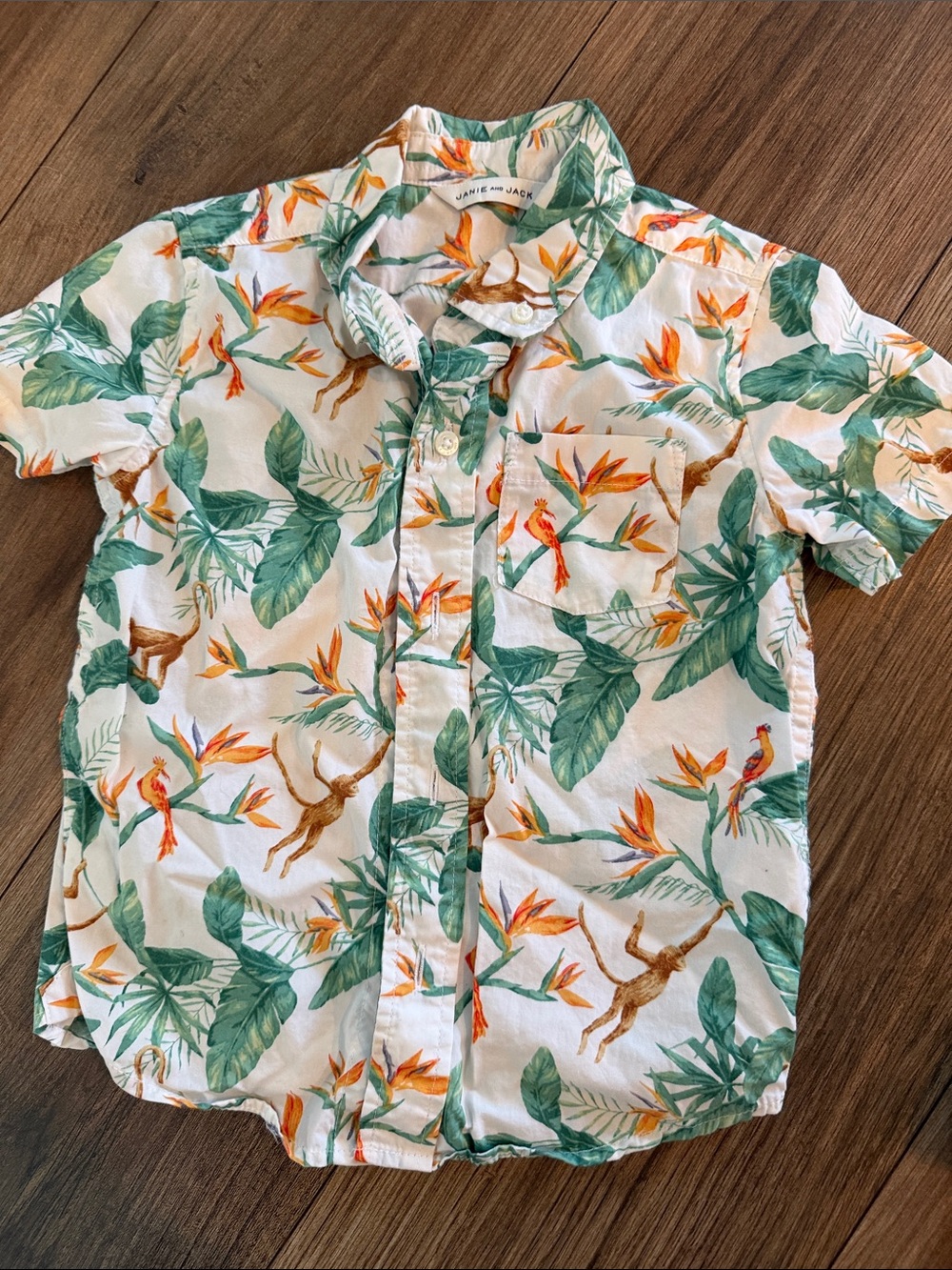 Janie and Jack Button-Up shirts